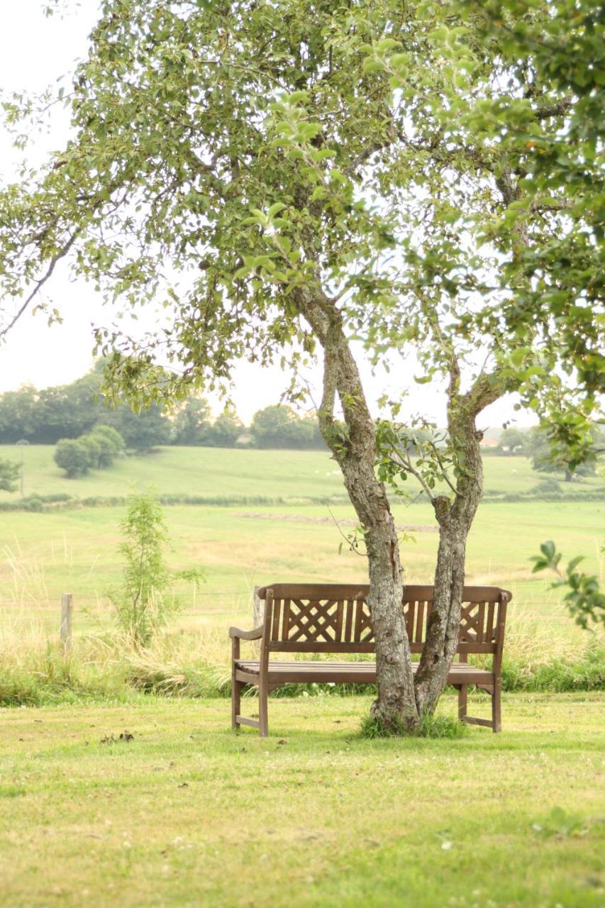 Domaine De Savigny Bed & Breakfast Saint-Saulge Eksteriør bilde